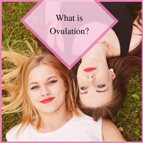 two women laying in grass wondering what ovulation is