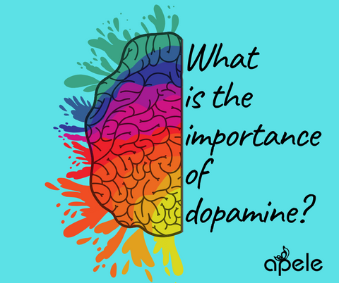 colorful brain drawing with the question "what is the importance of dopamine?"