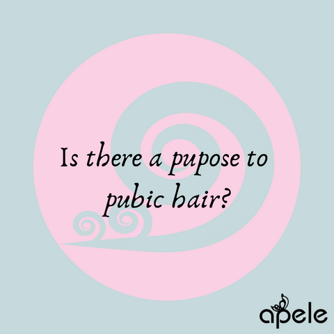 is there a purpose to pubic hair?